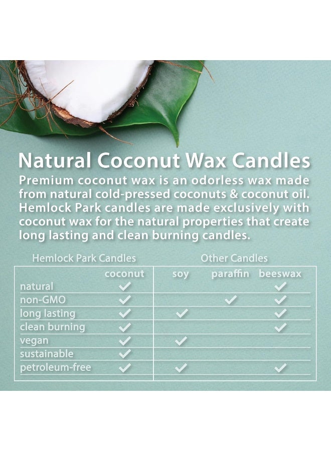 Hemlock Park Palo Santo ling Wood Wick Candle Made with Organic Coconut Wax - Image 5